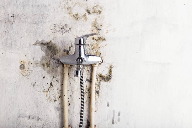 Best Water Damage Restoration  in Greenwood, DE