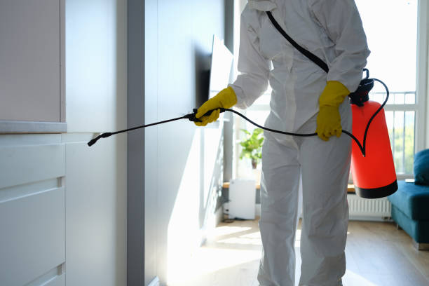 Best Local Mold Removal Service  in Greenwood, DE