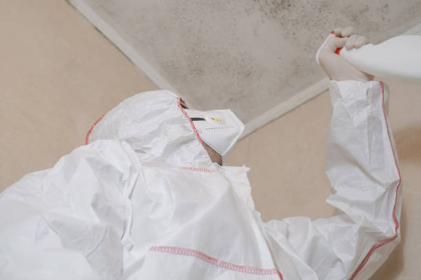 Best Crawl Space Mold Removal  in Greenwood, DE